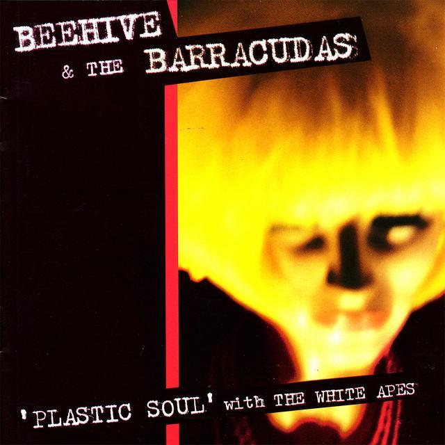 Beehive & Barracudas