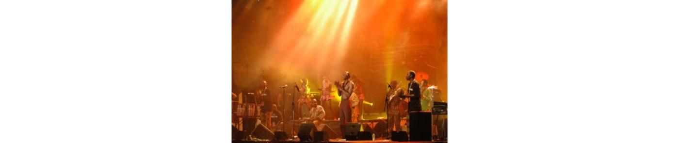 Seun Kuti & Egypt 80 Brand Page