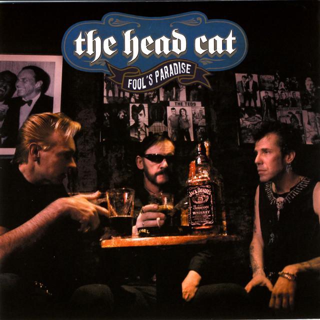 Head Cat