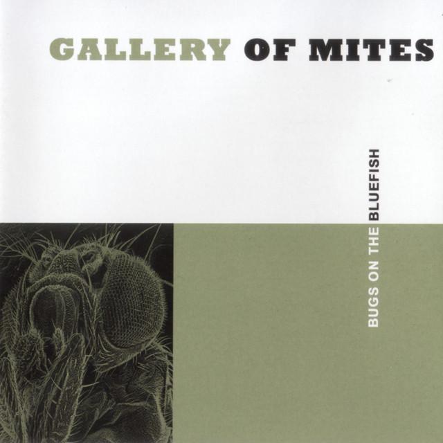Gallery of Mites