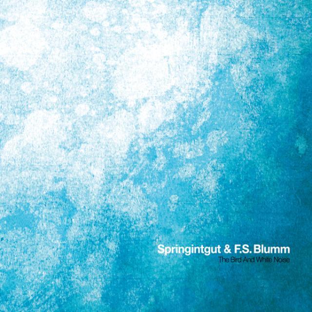 Springintgut & F.S. Blumm