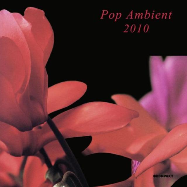 Pop Ambient 2010 / Various