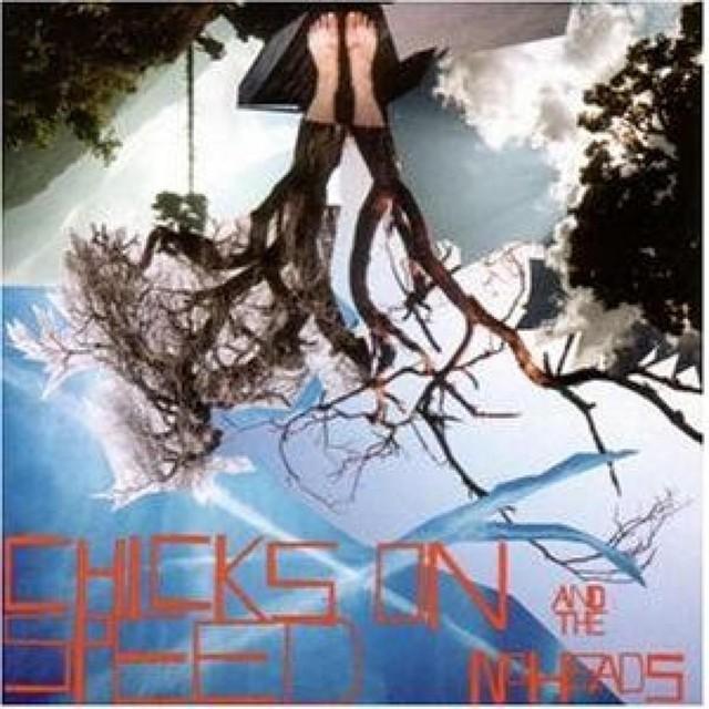 Chicks On Speed And The Noheads
