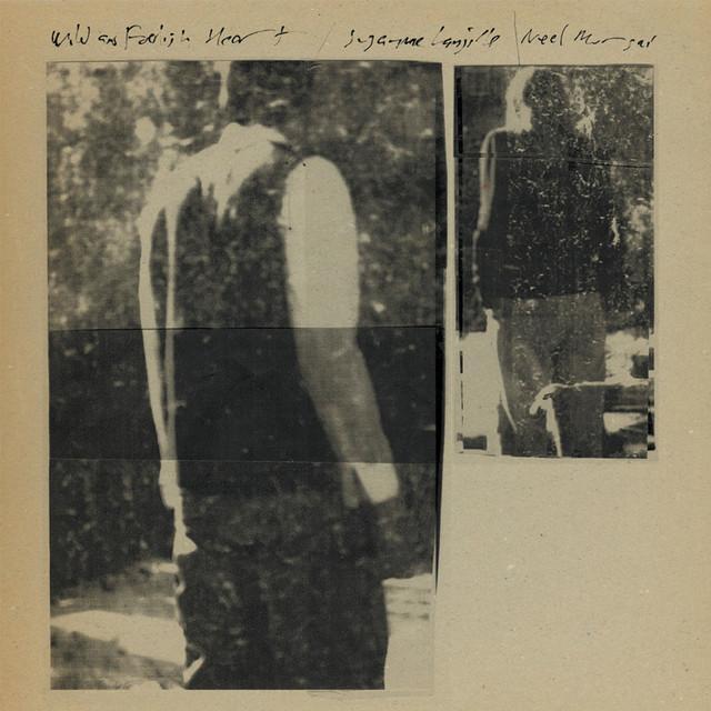 Suzanne Langille & Neel Murgai Brand Page