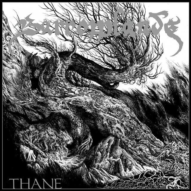 Barrowlands Brand Page