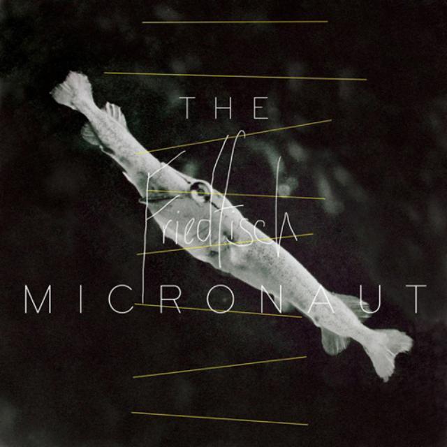 Micronaut