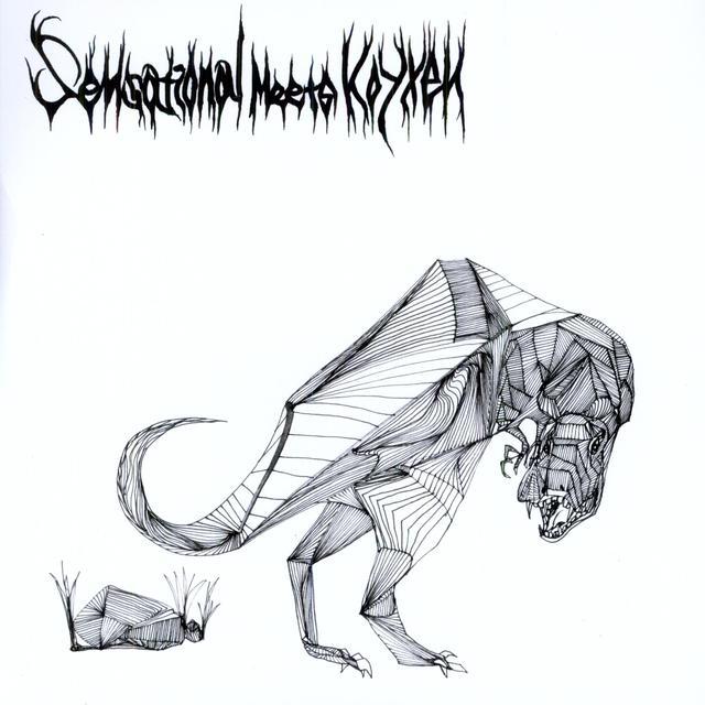 Sensational Meets Koyxen